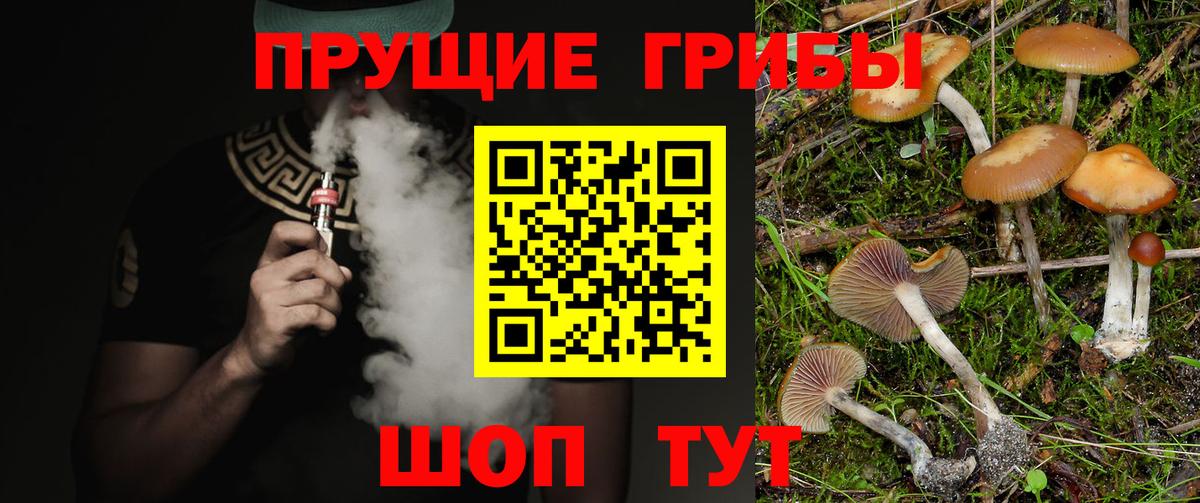 Выборг  Псилоцибиновые грибы Magic Shrooms  Вход с VPN 