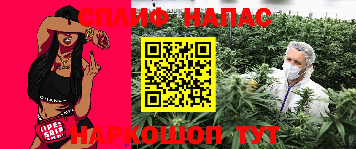Канабис план  Вход с VPN  Канабис OG Kush  Канабис гибрид  Выборг 